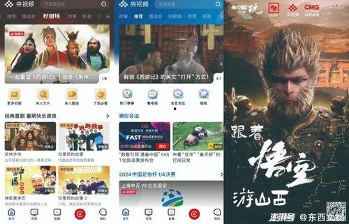 视频国产精品
